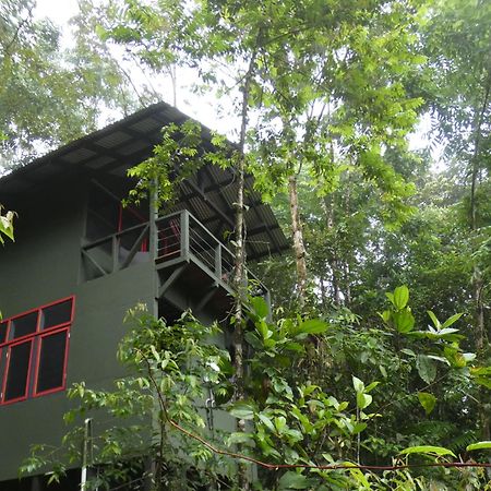 Yatama Rainforest Ecolodge Сарапики Экстерьер фото