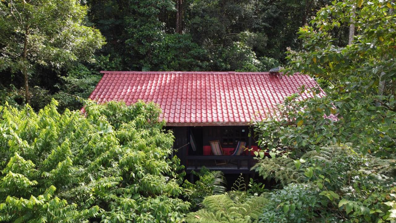 Yatama Rainforest Ecolodge Сарапики Экстерьер фото