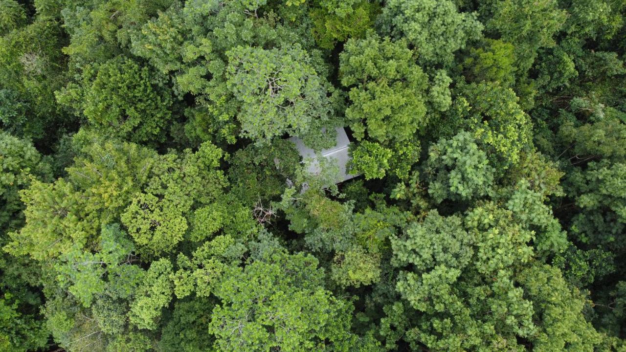 Yatama Rainforest Ecolodge Сарапики Экстерьер фото