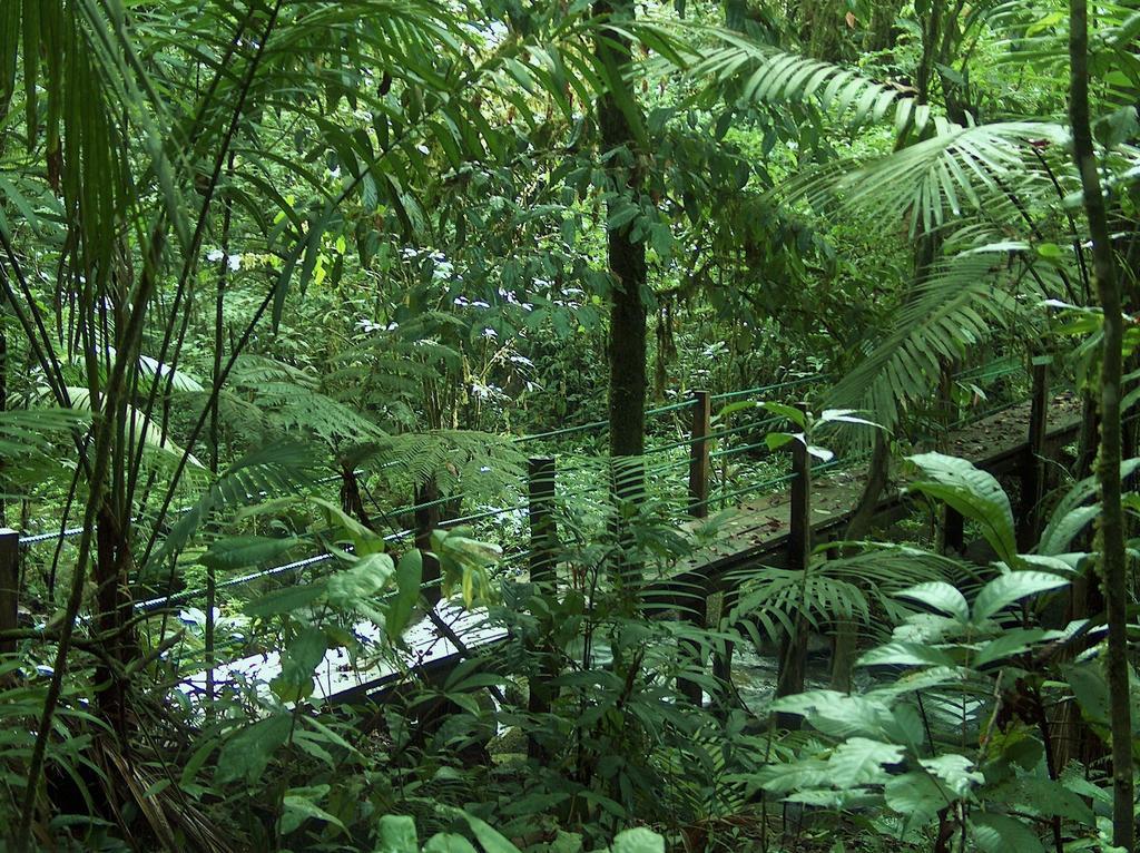 Yatama Rainforest Ecolodge Сарапики Экстерьер фото