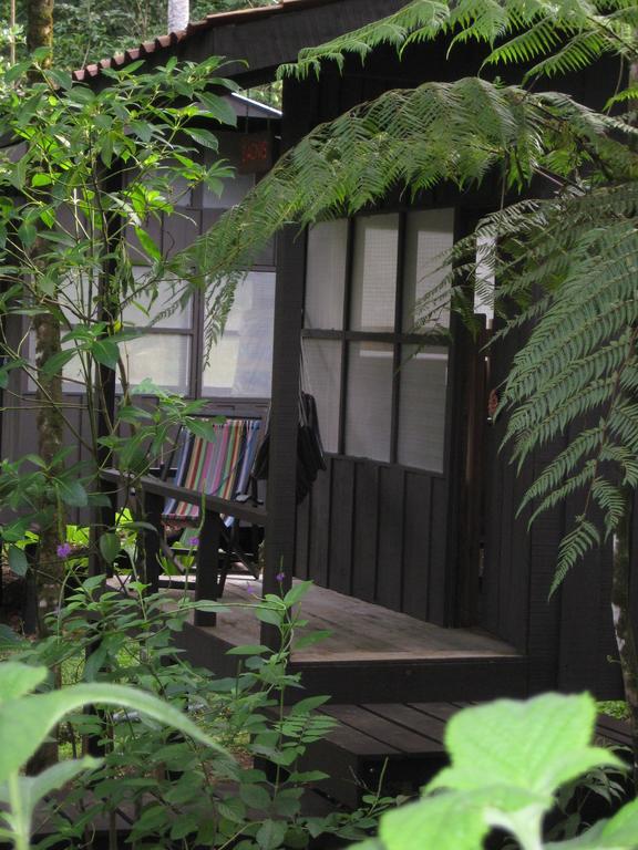 Yatama Rainforest Ecolodge Сарапики Номер фото