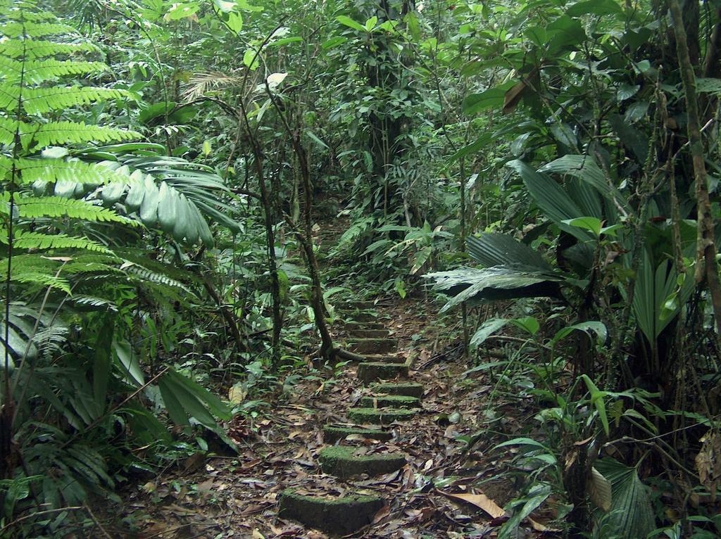 Yatama Rainforest Ecolodge Сарапики Экстерьер фото