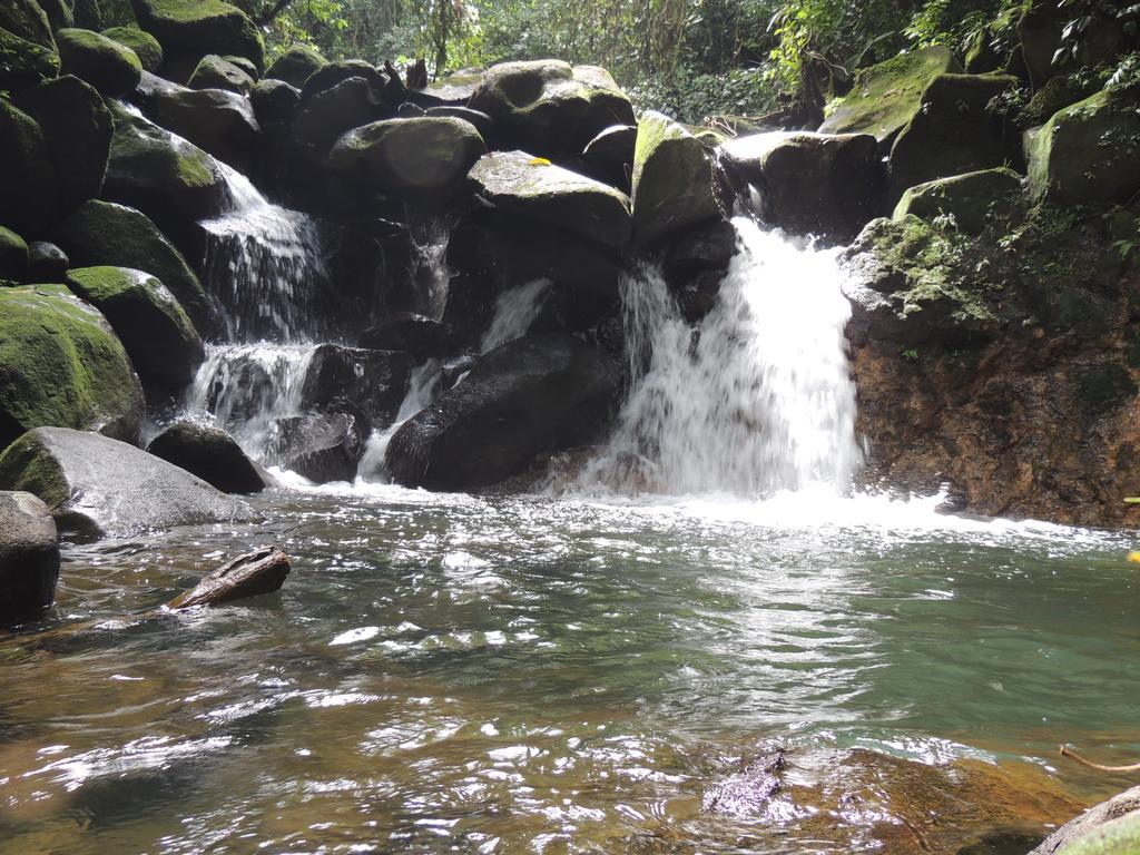 Yatama Rainforest Ecolodge Сарапики Экстерьер фото