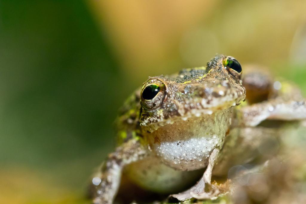 Yatama Rainforest Ecolodge Сарапики Экстерьер фото