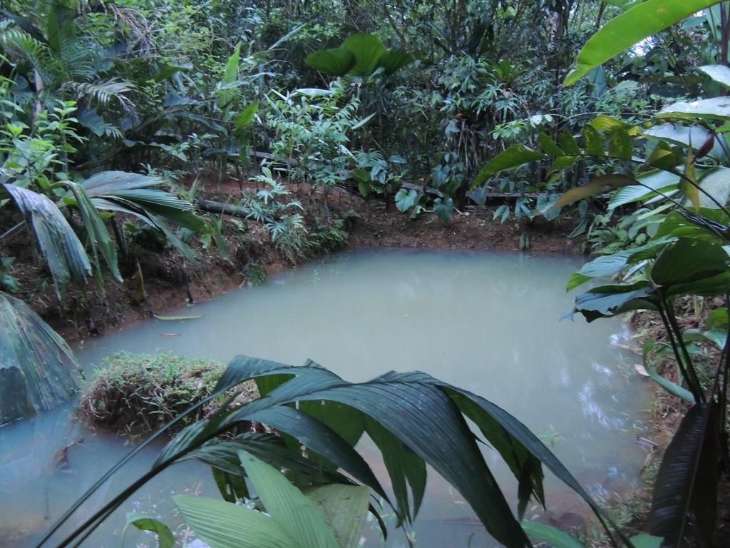 Yatama Rainforest Ecolodge Сарапики Экстерьер фото