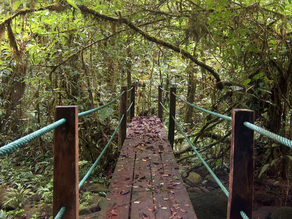 Yatama Rainforest Ecolodge Сарапики Экстерьер фото