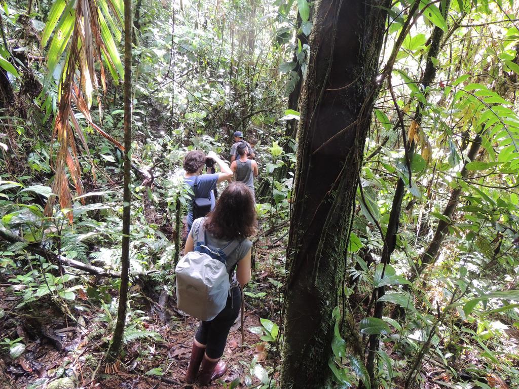 Yatama Rainforest Ecolodge Сарапики Экстерьер фото