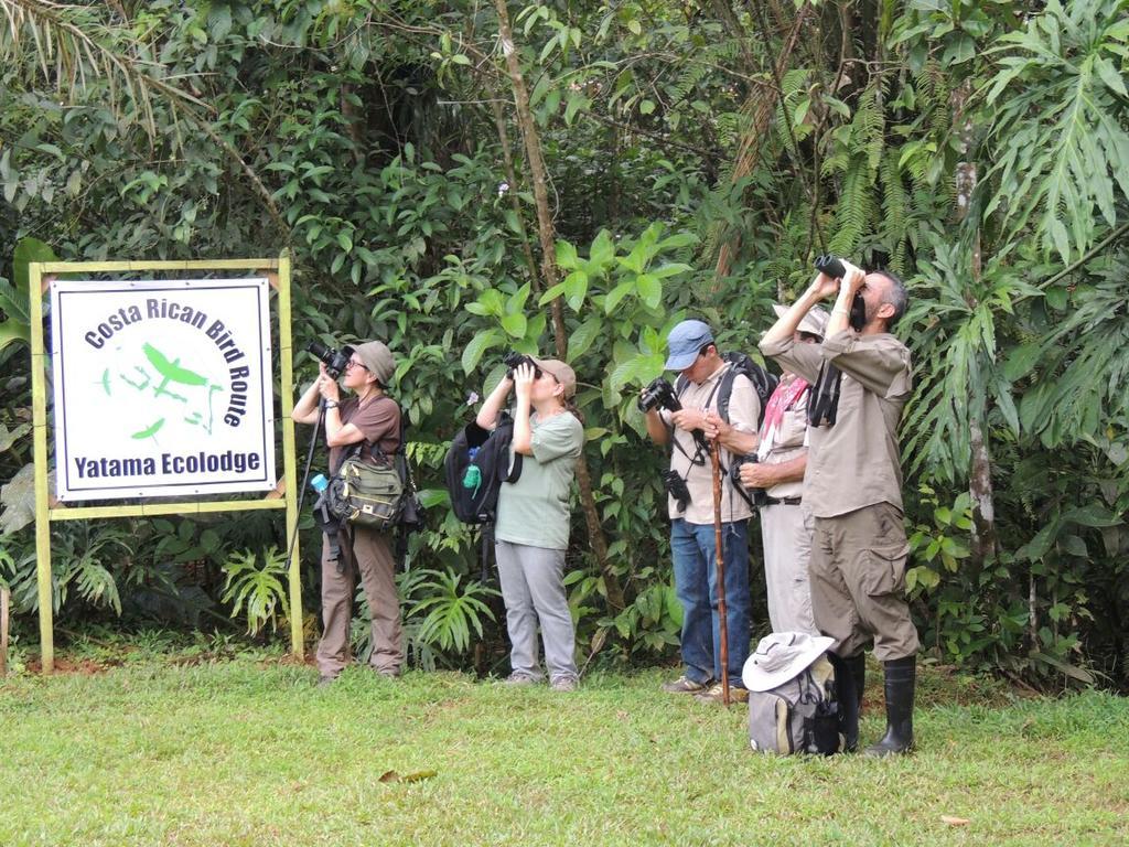 Yatama Rainforest Ecolodge Сарапики Экстерьер фото