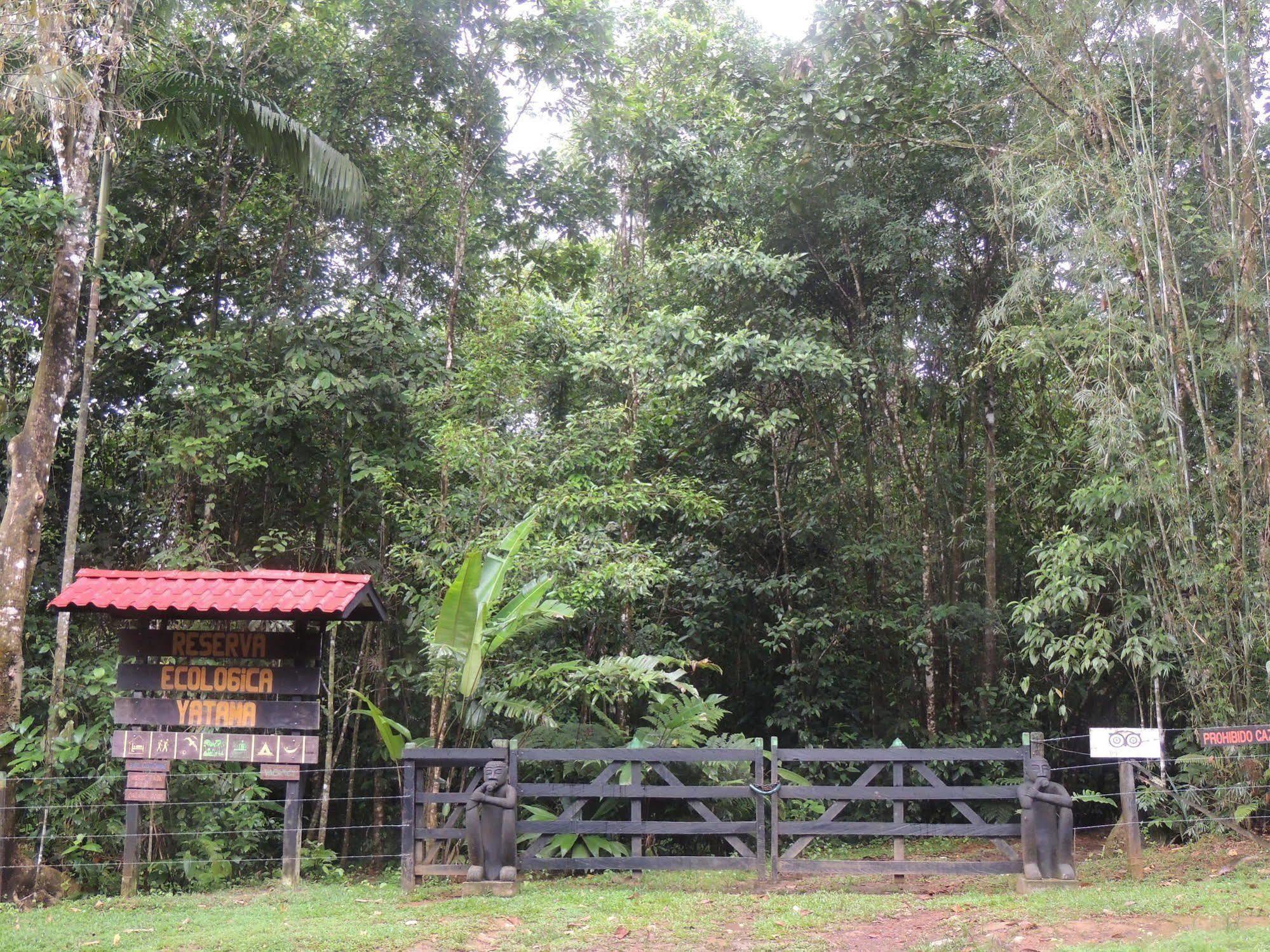 Yatama Rainforest Ecolodge Сарапики Экстерьер фото