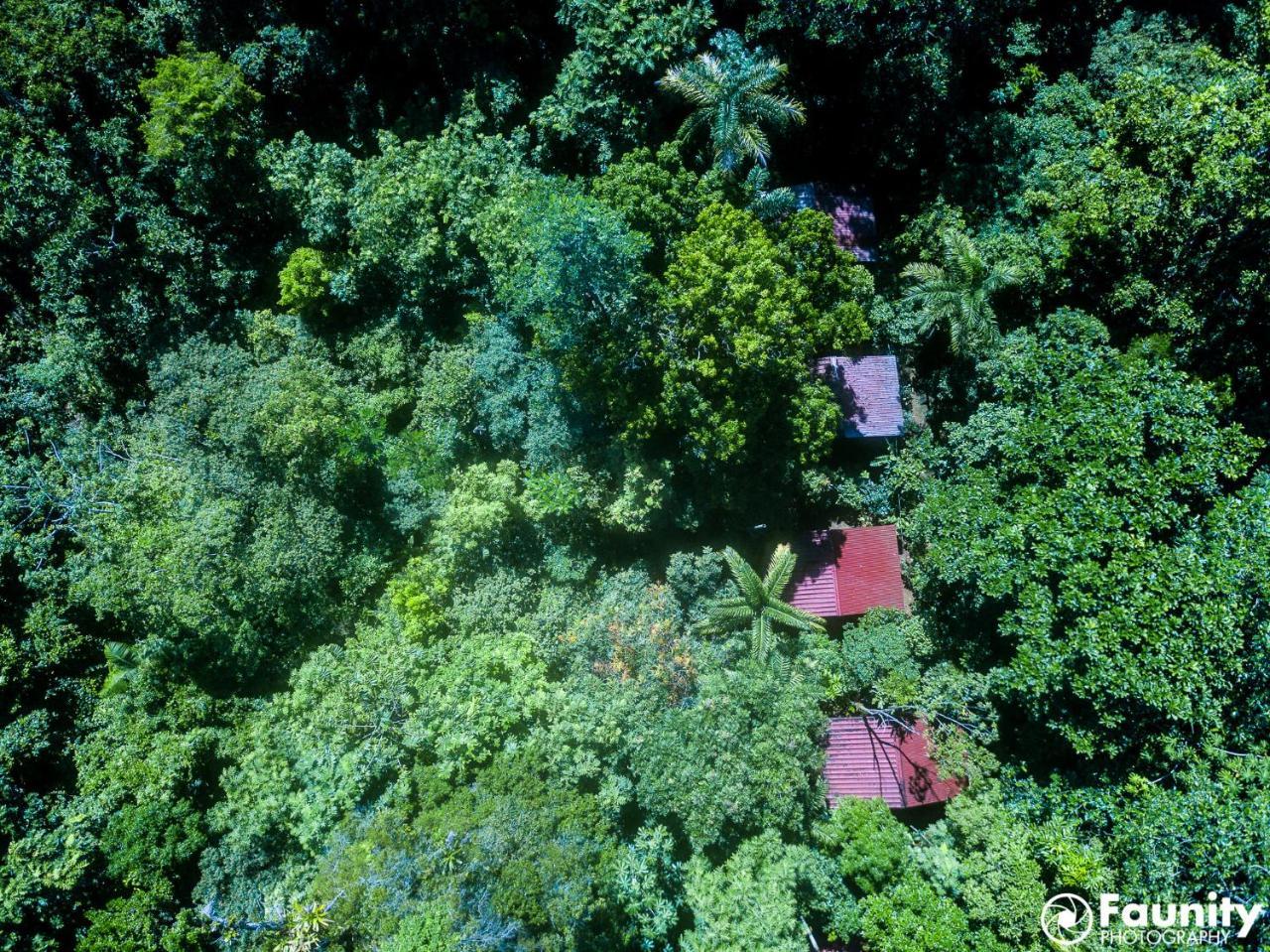 Yatama Rainforest Ecolodge Сарапики Экстерьер фото